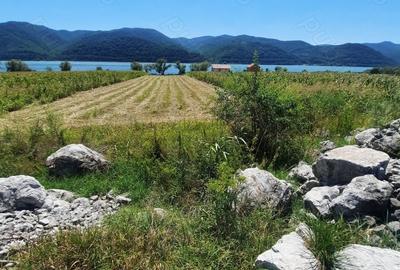 Teren de 2500 mp, în Berzasca - 16