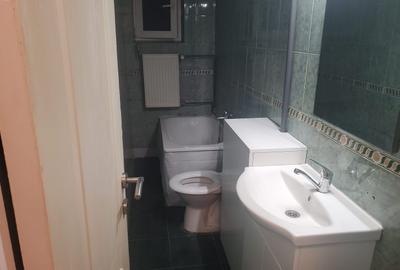Apartament cu 2 camere nedecomandat, mobilat în Șagului - 9