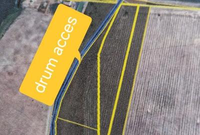 Vand 2 ha teren pa?une!! - 2