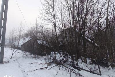 Casă cu 3 camere cu Teren 5000 Mp în Bălcăuți