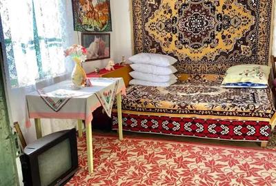 Casă cu 2 camere în Râmești (Horezu) - 8