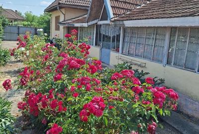 Casă cu 4 camere în Stroiești - 4