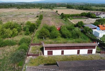 Casă cu Teren 6172 Mp în Central - 6