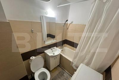 Garsoniera Brazda lui Novac - 6