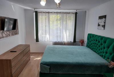 Garsonieră decomandată în Ozana - 1