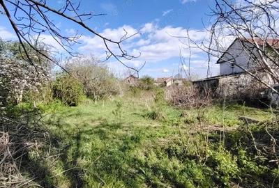 Casa cu teren generos in Alfa Arad - 14