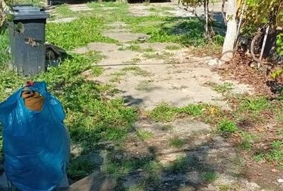 Casă cu 3 camere în Sânandrei - 1