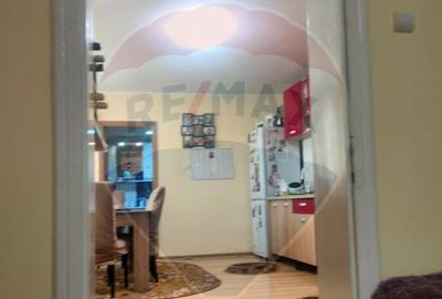 Casa la tara in satul Retis, comuna Bradeni, aproape de ... - 6