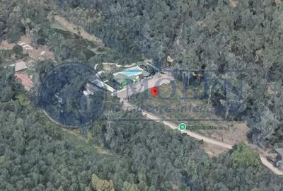 3 parcele de teren situate langa Cantonul Braniste-In padure-Superbe