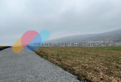 Teren Construcții extravilan de 850 mp, în Iris - 3