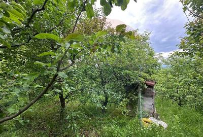 DE VANZARE - Cabana / casa vacanta in COAS - 5