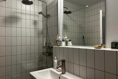 Apartament cu 2 camere decomandat în Banu Manta - 7