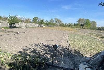 Casă cu Teren 2600 Mp în Dragșina - 9