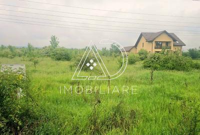 Teren intravilan de 9362 mp, în Central - 6