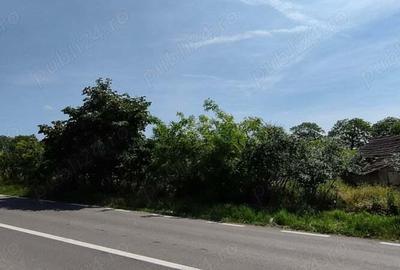 Teren de 925 mp, în Berceni - 5