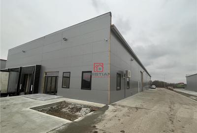 Depozit/hala/spatiu industrial Chiajna - Centura - Rudeni - 9