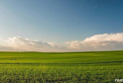 53,3 hectare teren agricol acces direct la DN709C loca?ie buna - 1