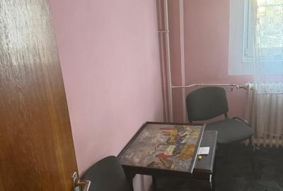 PIATA VICTORIEI ADIACENT DIN BD. TITULESCU, VERONICA MICLE - 9