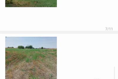 Teren de 4000 mp, în Berceni - 10