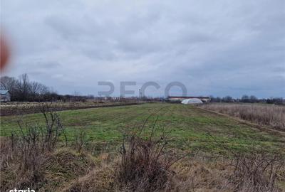 Spațiu comercial, în Borș - 5