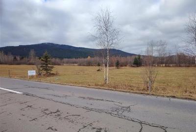 Teren extravilan in Borzont, langa DN13B - 1