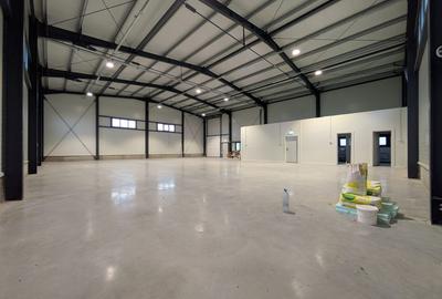 Hala depozitare - 437 mp - Ghiroda - Comision 0% - 3