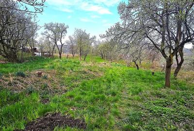 Casă cu 3 camere cu Teren 2500 Mp în Burdea - 15