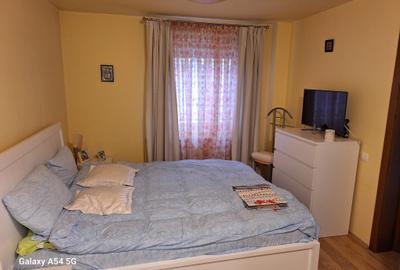 De vanzare casa superba in Livezeni, Orizont, 920 mp curte aranjata, asfalt - 13