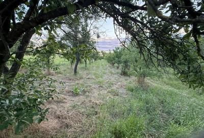 Casă cu 3 camere nedecomandat în Lăngești - 5