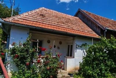 Casă cu 2 camere în Bita - 7