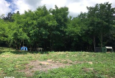 Spațiu comercial, în Iclod - 1