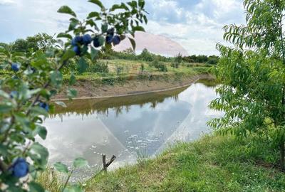 TEREN DE VANZARE - 29,656mp Bozanta Mica - 1