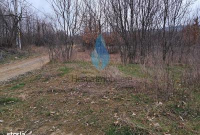 Teren de 1309 mp, în Bârnova - 2