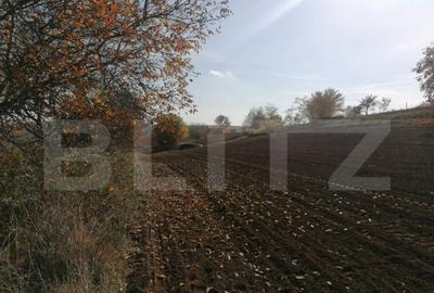 Teren extravilan 5000 mp, Uricani - 3