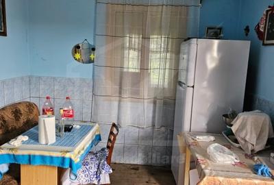 Casă individuală cu 3 camere cu Canalizare în Ceanu Mic - 15