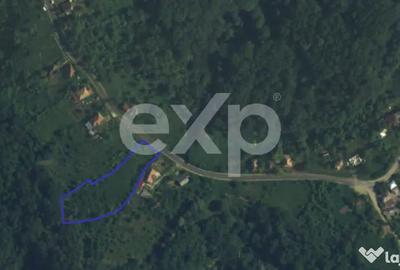 Teren în Drăganu - 1