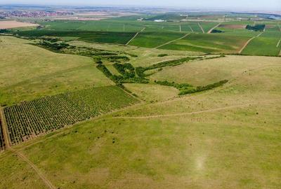 Teren arabil de 174 hectare în Călărași - 3
