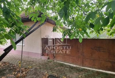 Casă cu 3 camere cu Teren 1800 Mp în Covaci - 6