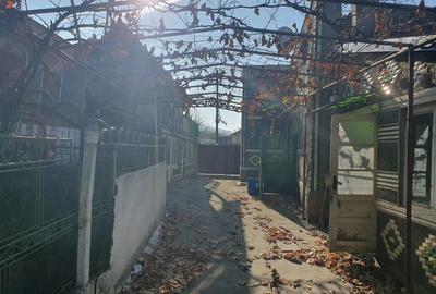 Casă cu 3 camere în Covăsinț - 3