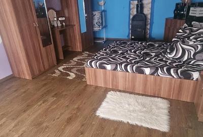 Casă cu Teren 3435 Mp în Peciu Nou - 5