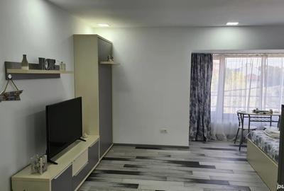 Studiou de inchiriat - 9
