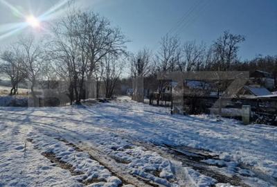 Teren de 79000 mp, în Central - 6