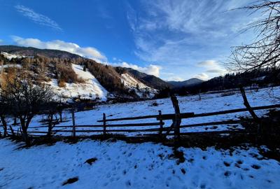 Teren intravilan Simon/Bran, 4318 mp , casuta intabulata, utilitati - 21