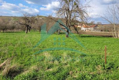 EXCLUSIVITATE! Teren intravilan de vanzare in zona linistita, sat Vlaha! - 4