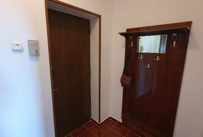 Apartament cu 2 camere semidecomandat, mobilat în Calea Călărașilor - 19