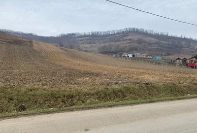 Teren de 5800 mp, în Șaroș pe Târnave - 2