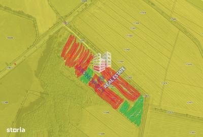 Spațiu comercial, în Șercaia - 1