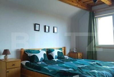 Cabana de vanzare in Stramba - 33