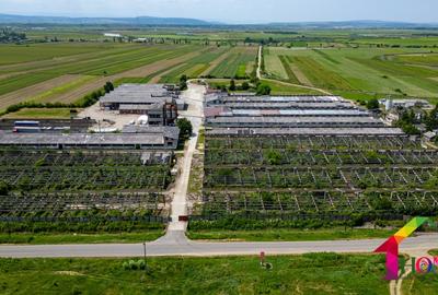 Teren 100.000 mp + Spatii Industriale Bacau