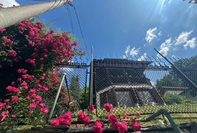 Azuga - Strada Garbovei - 20